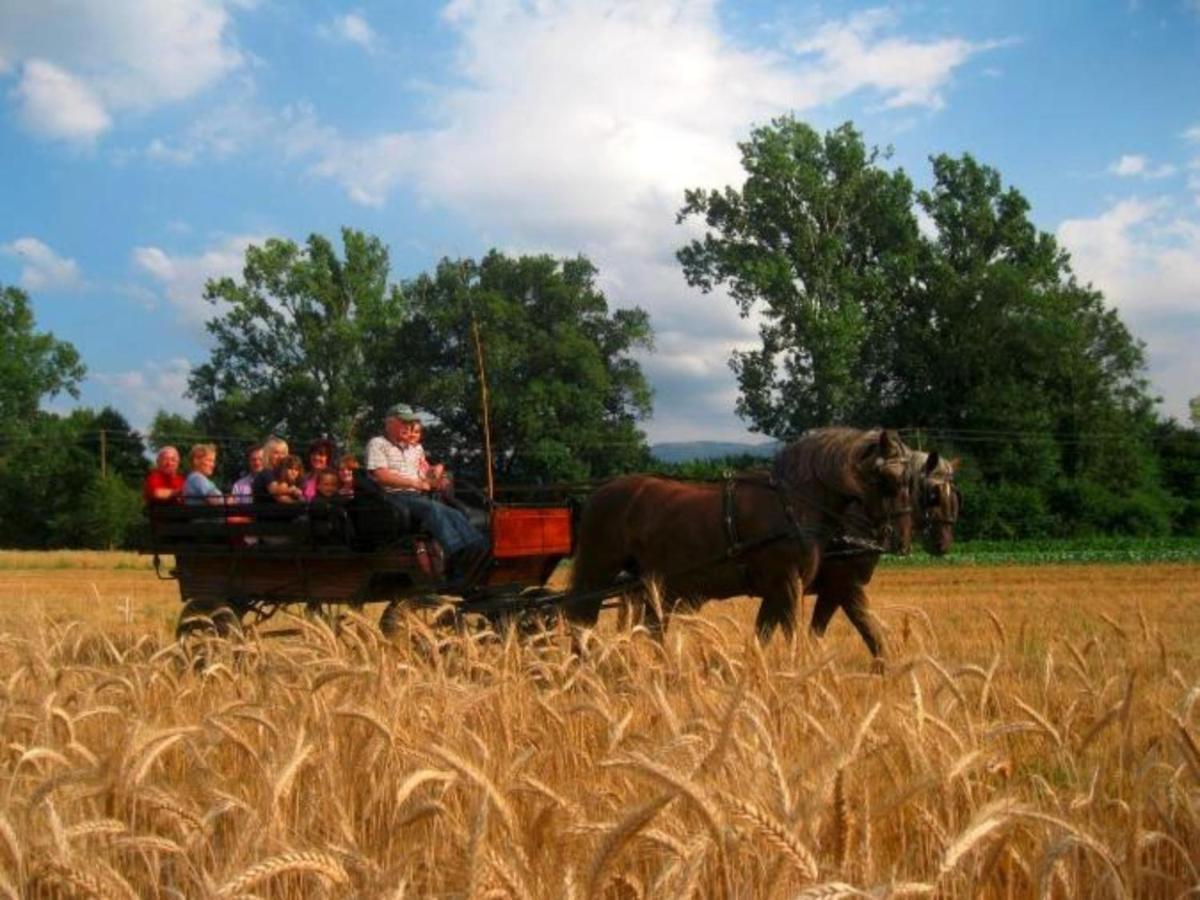 Ferienwohnungen Maierhof Oberried Oberried  Bagian luar foto