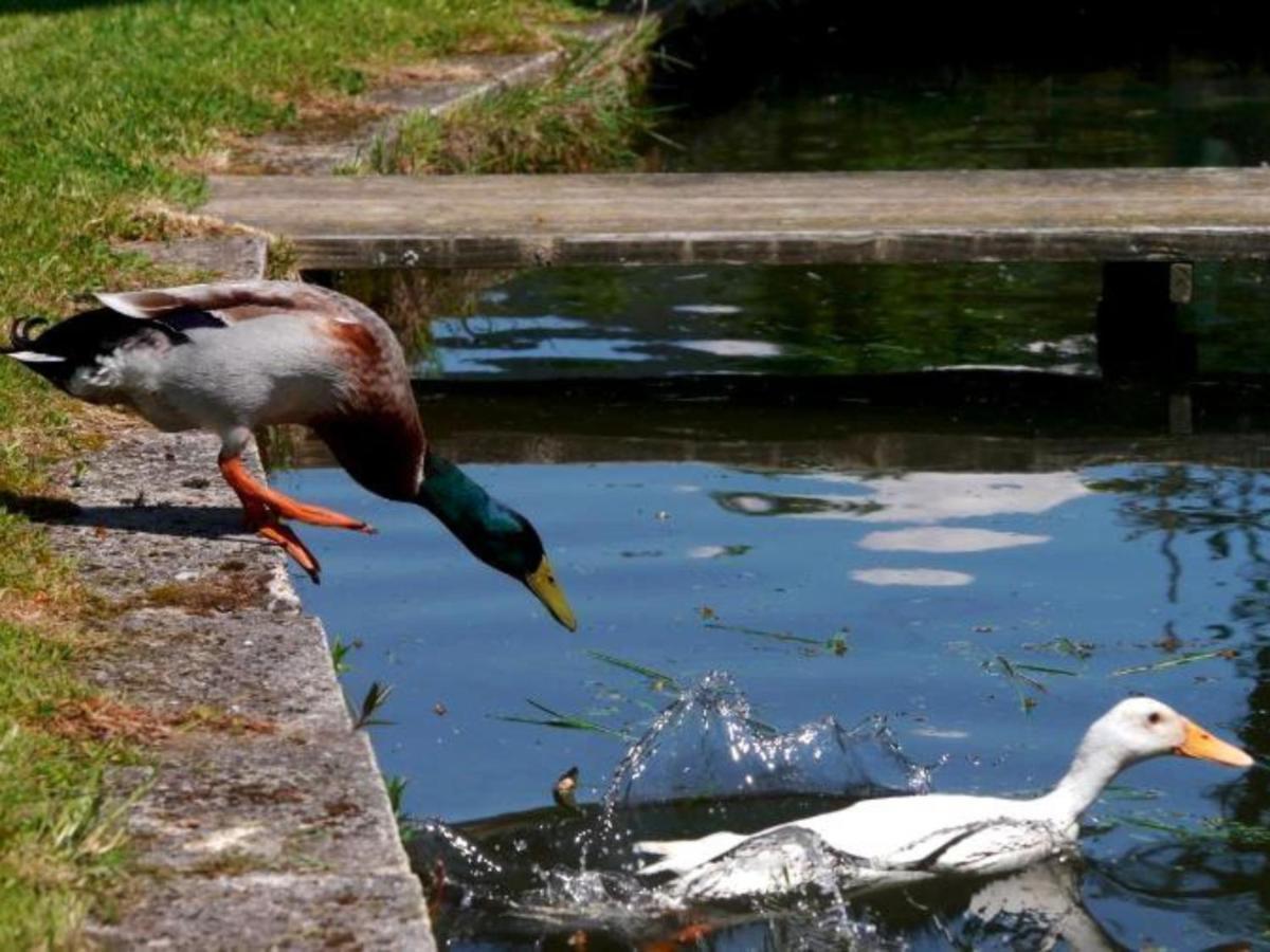 Ferienwohnungen Maierhof Oberried Oberried  Bagian luar foto
