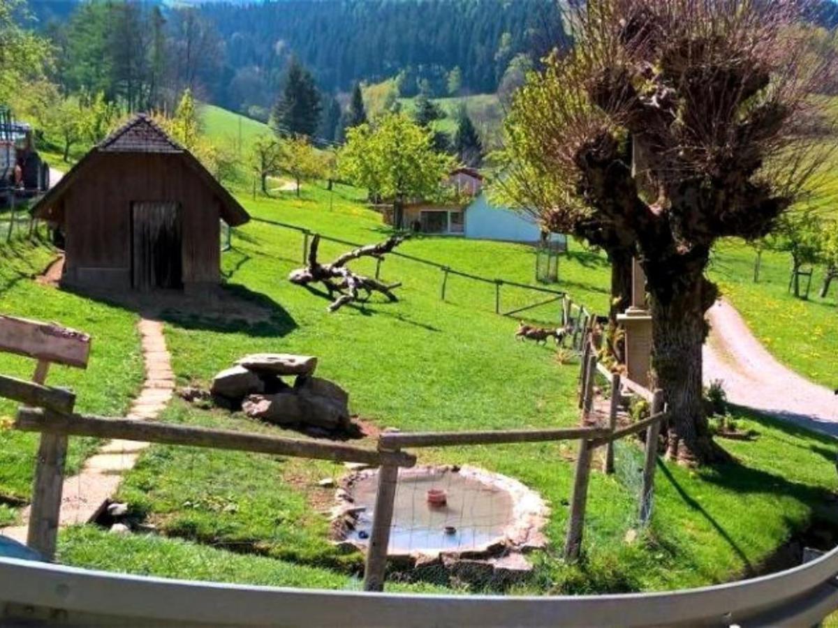 Ferienwohnungen Maierhof Oberried Oberried  Bagian luar foto