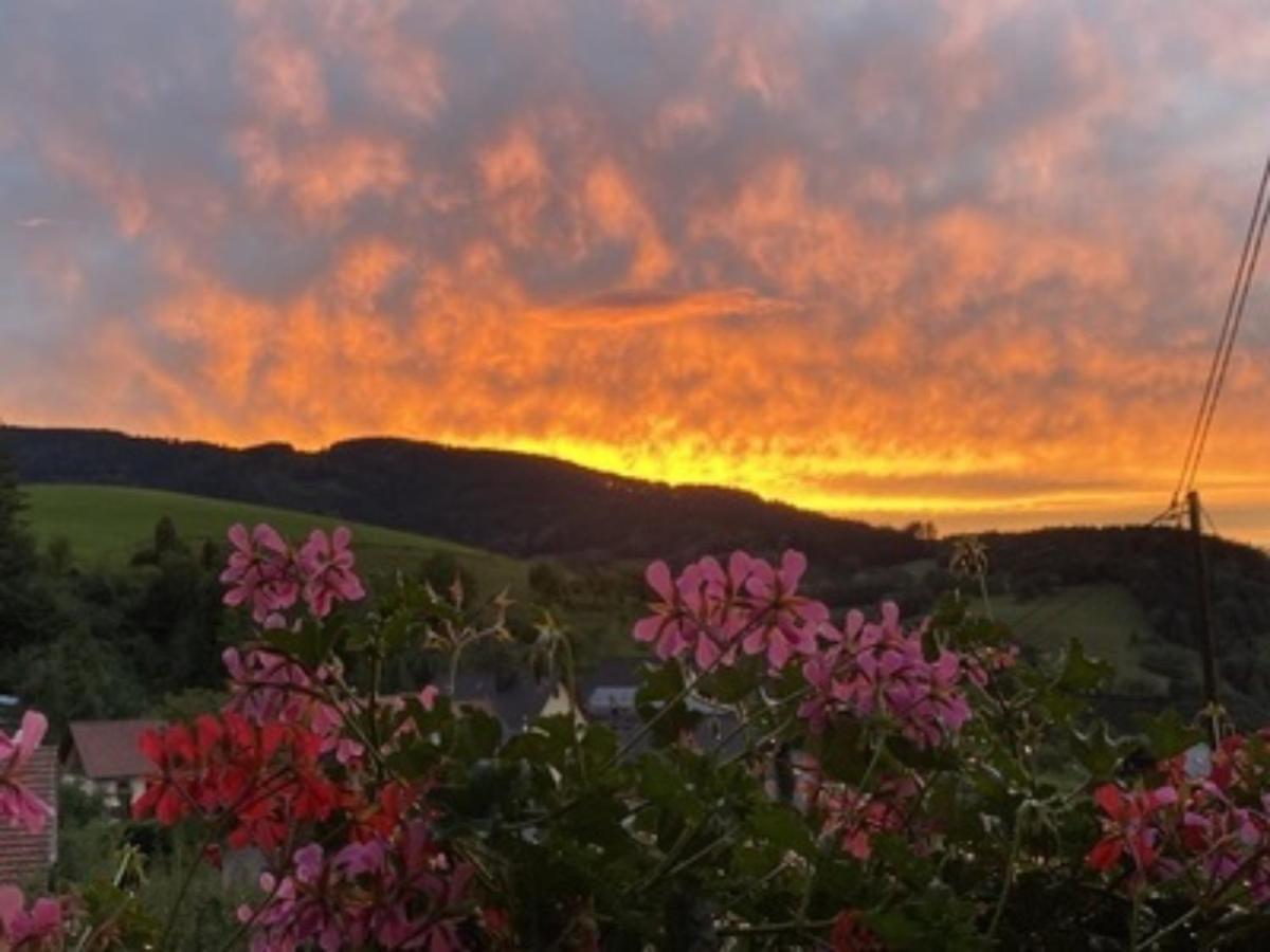 Ferienwohnungen Maierhof Oberried Oberried  Bagian luar foto