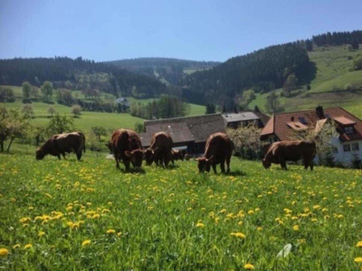 Ferienwohnungen Maierhof Oberried Oberried  Bagian luar foto